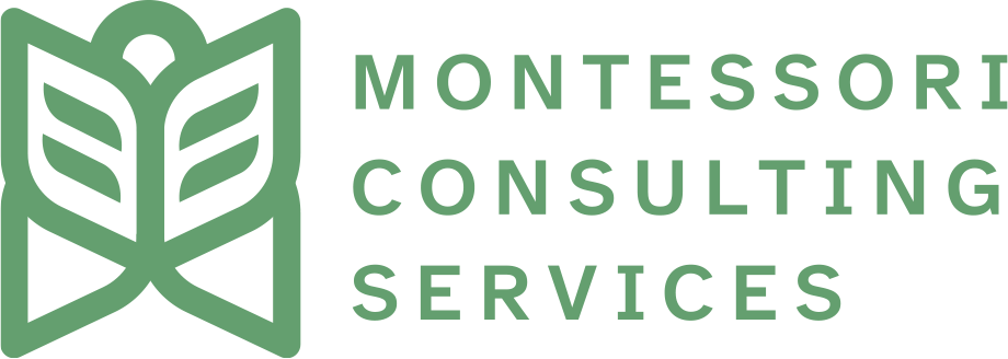 Montessori-based Consulting