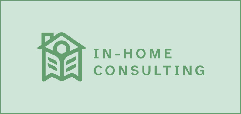 In-Home Consulting